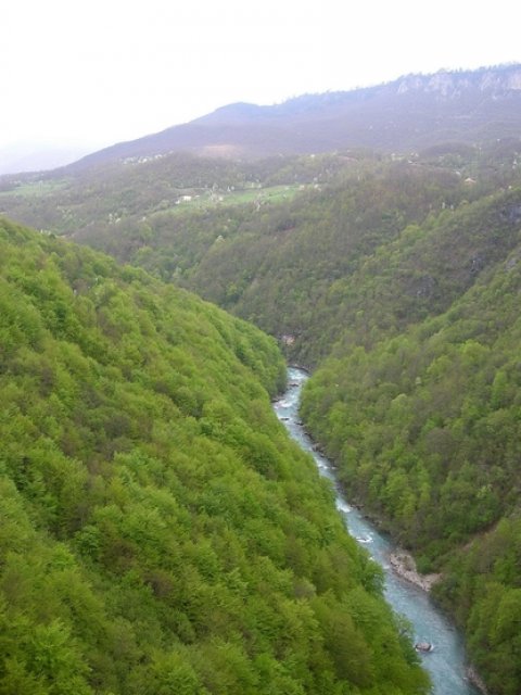 Тара Каньон, Черногория