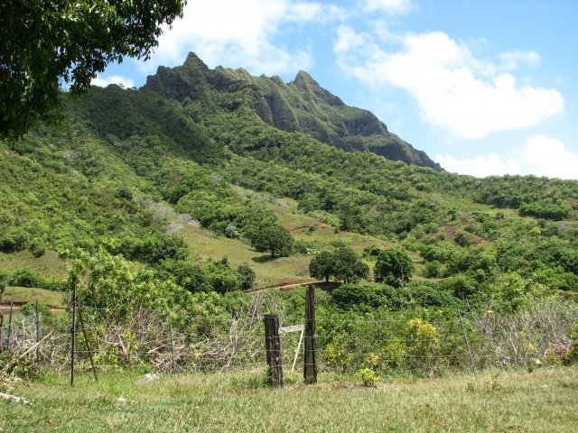 Долина Ka'a'awa, экскурсия в джунгли, Оаху, Гавайи