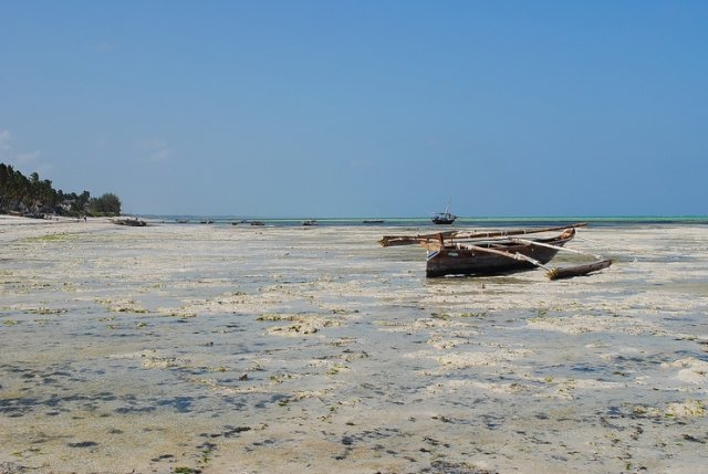 Jambiani. Shene Bungalows. Low-tide