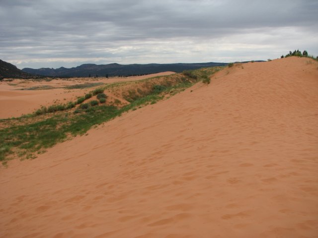 Розовые Песчаные Дюны (Coral Pink Sand Dune), Юта