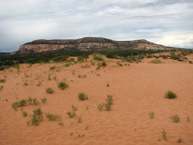 Розовые Песчаные Дюны (Coral Pink Sand Dune), Юта