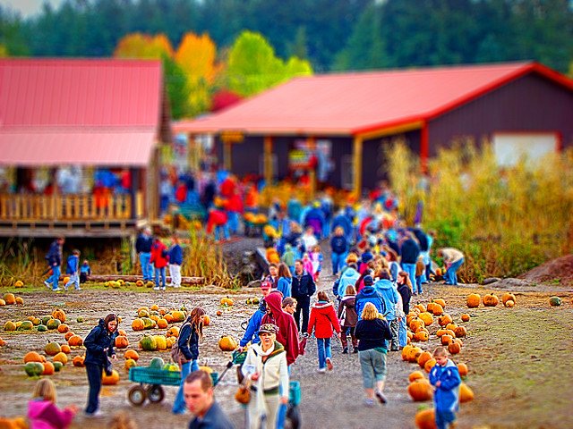 Канада осенью. Tilt-Shift