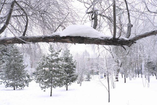 Центральный парк Новосибирска