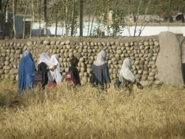 Ближе сфотографировать невозможно