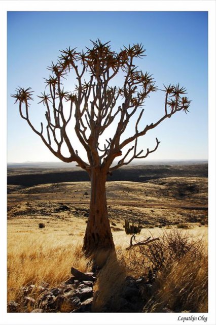 На закате в районе Fish river canyon