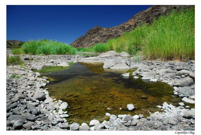 Оазис на самом юге Fish river canyon