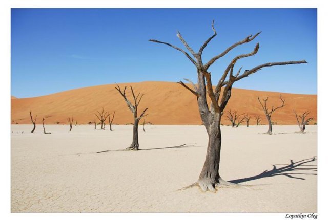 Death Vlei