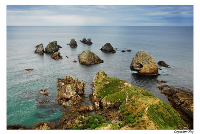 Nugget Point