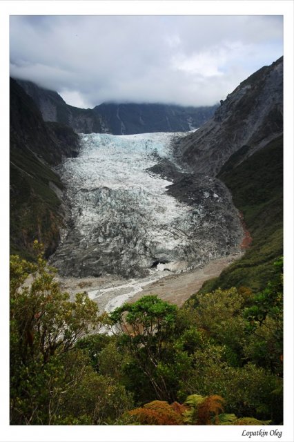 Ледник Fox Glacier