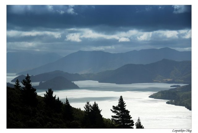 Вид на фиорд Marlborough Sounds с трека Queen Sharlotte