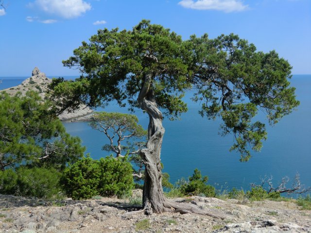 По дороге на Караул-Оба.